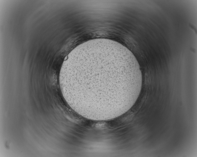 X0000099480173200806061254