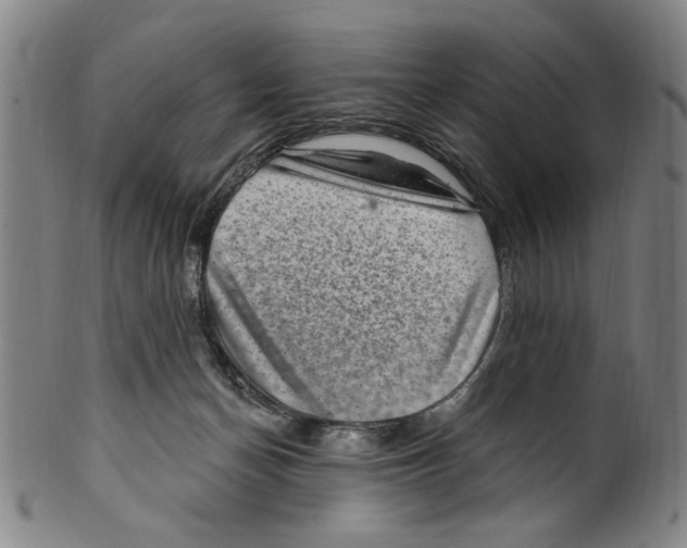 X0000099480174200806061254