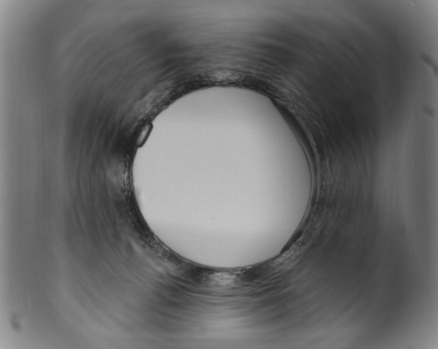 X0000099480176200806061254