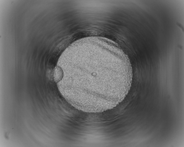 X0000099480177200806061254