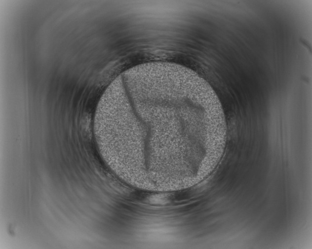X0000099480178200806061254