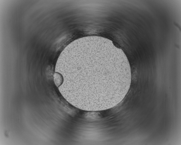 X0000099480179200806061254