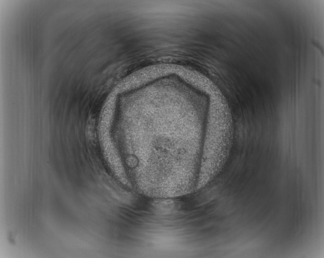X0000099480181200806061254