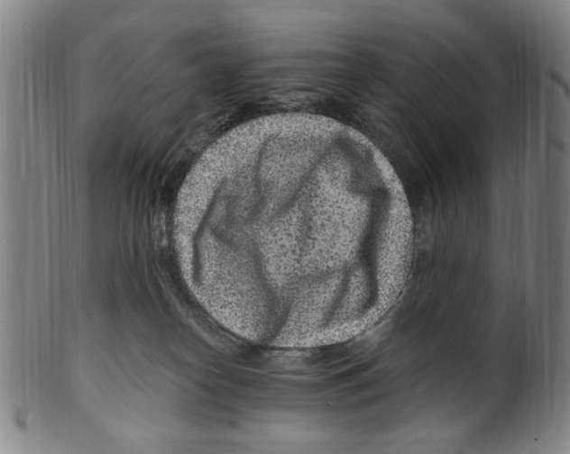 X0000099480182200806061254