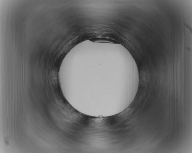 X0000099480184200806061254