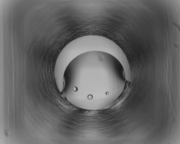 X0000099480186200806061254