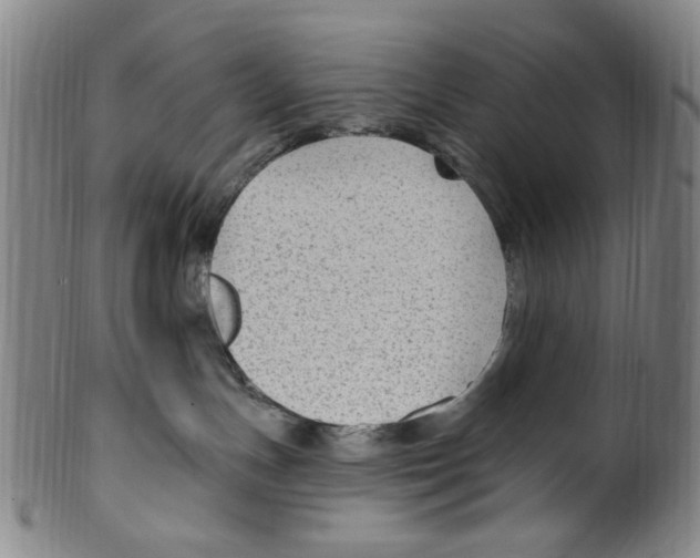 X0000099480191200806061254