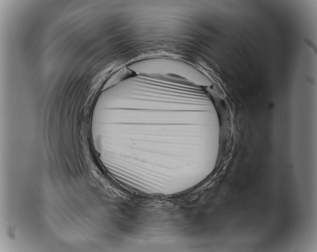 X0000099480193200806061253