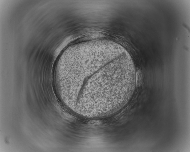 X0000099480195200806061253