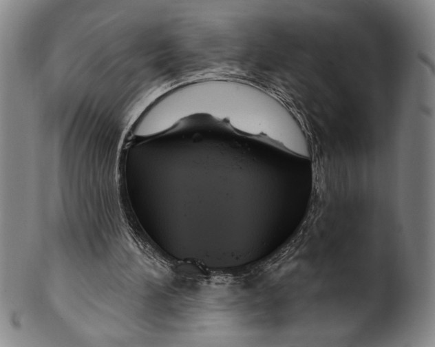 X0000099480196200806061253