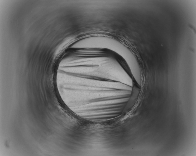X0000099480197200806061253