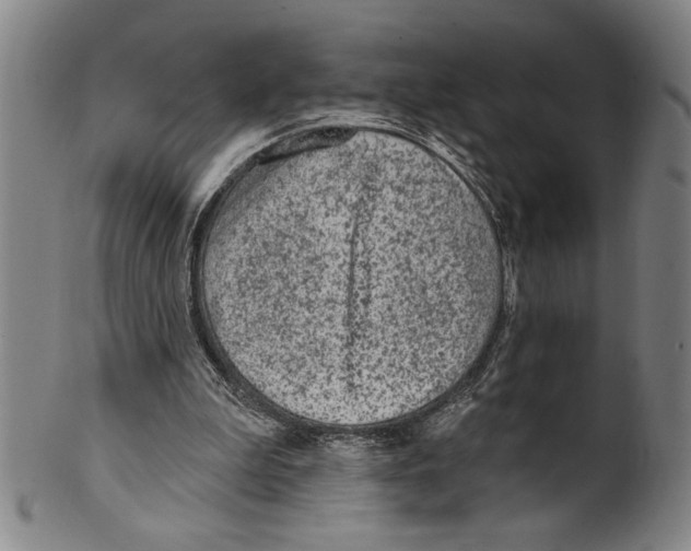 X0000099480199200806061253