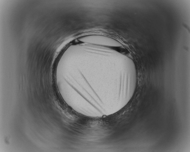 X0000099480200200806061253
