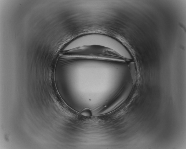 X0000099480201200806061253