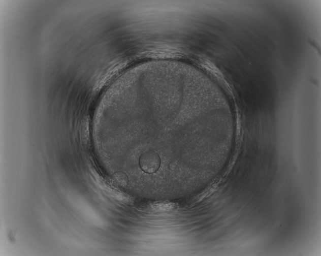 X0000099480202200806061253