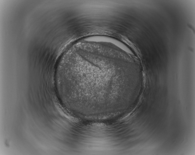 X0000099480203200806061253