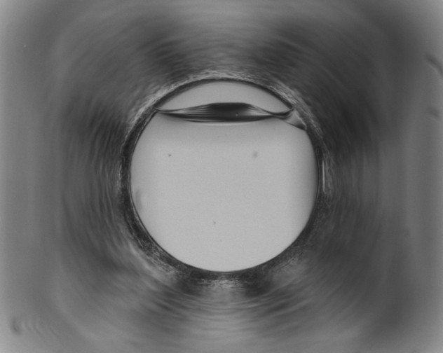 X0000099480204200806061253