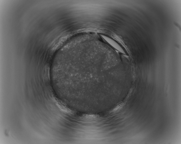X0000099480205200806061253