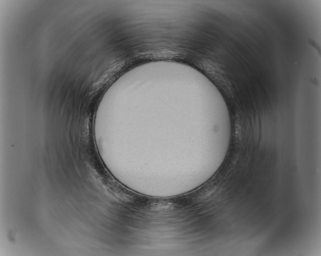 X0000099480206200806061253