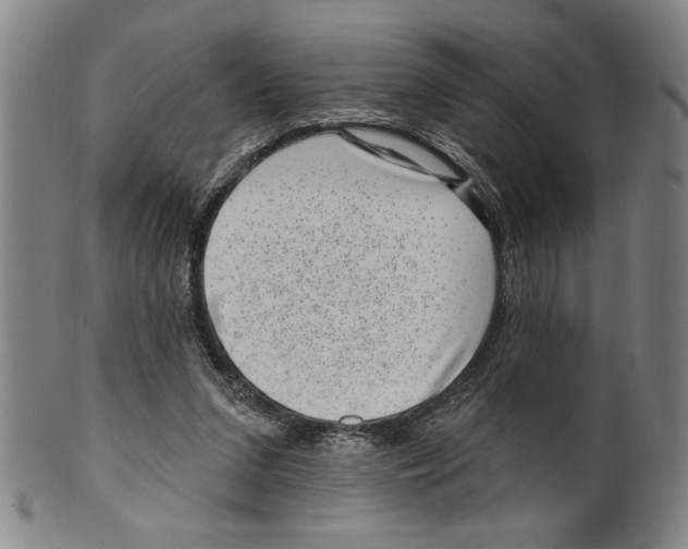 X0000099480207200806061253
