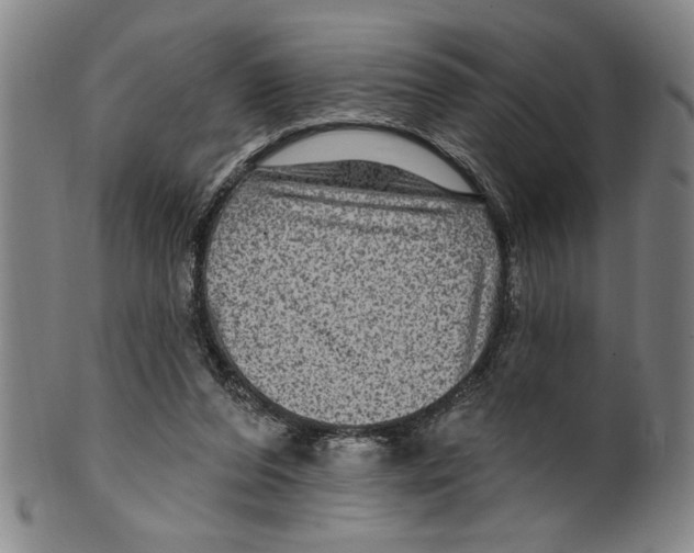 X0000099480208200806061253