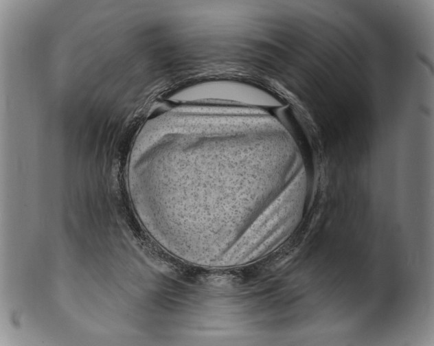 X0000099480209200806061253