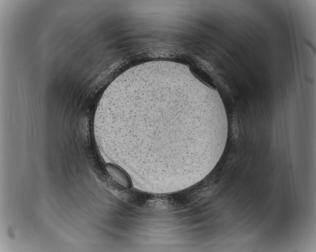 X0000099480211200806061253