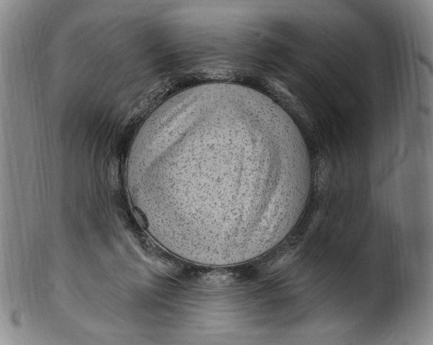 X0000099480213200806061253