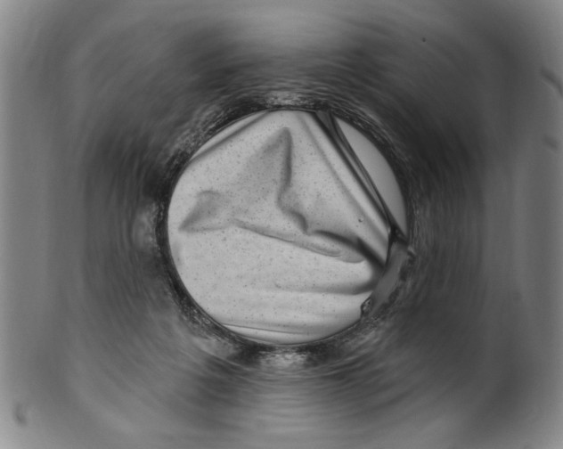 X0000099480217200806061253
