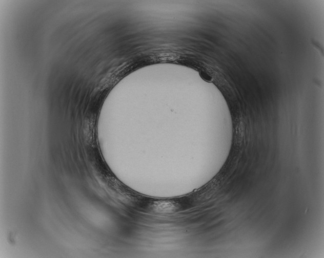 X0000099480218200806061253
