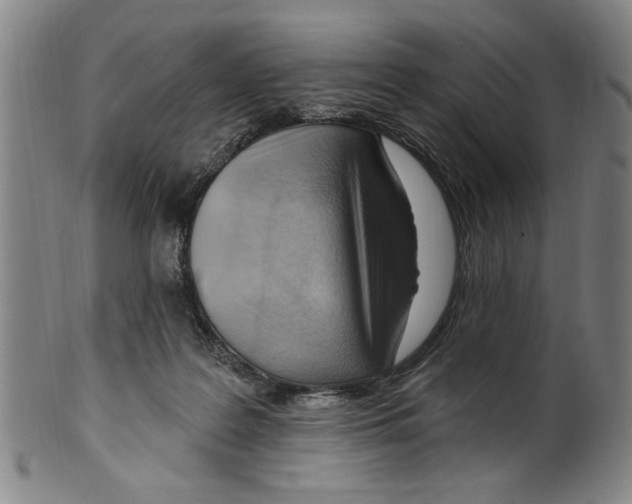 X0000099480219200806061253