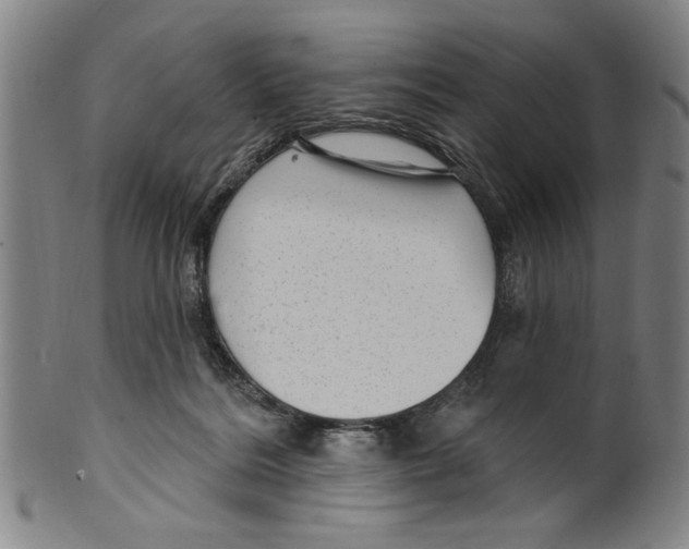 X0000099480220200806061253