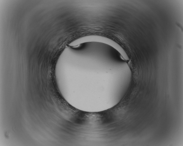X0000099480221200806061253