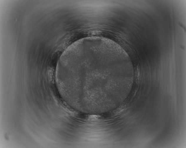 X0000099480222200806061253