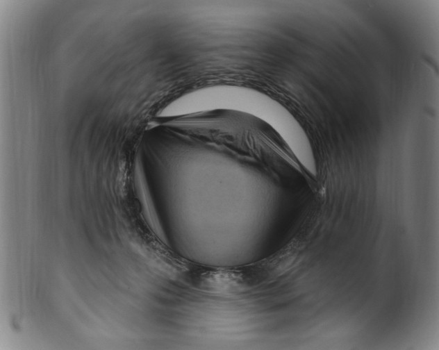 X0000099480223200806061253