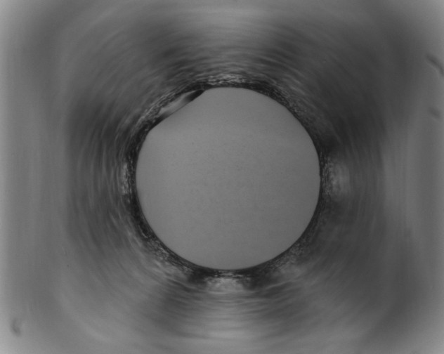 X0000099480224200806061253