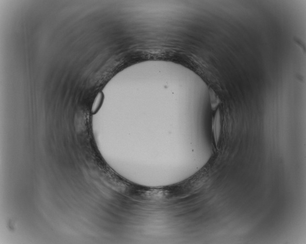 X0000099480225200806061253