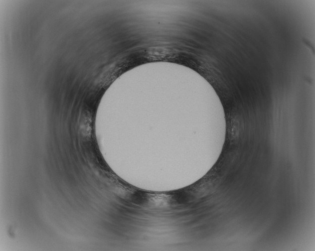 X0000099480226200806061253
