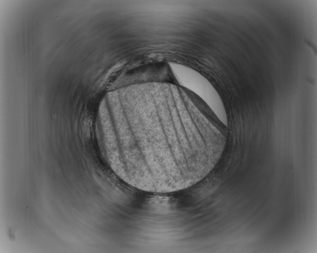 X0000099480227200806061253