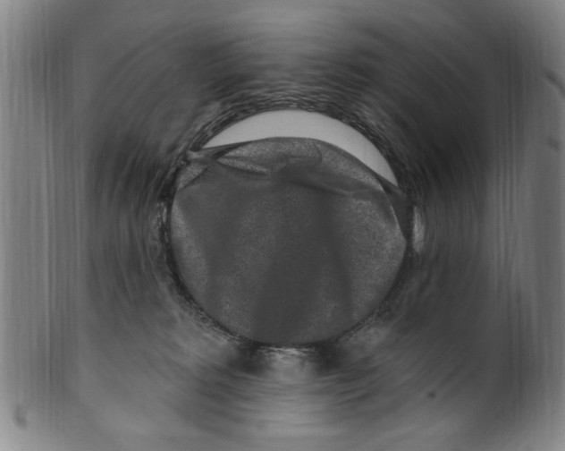 X0000099480229200806061253