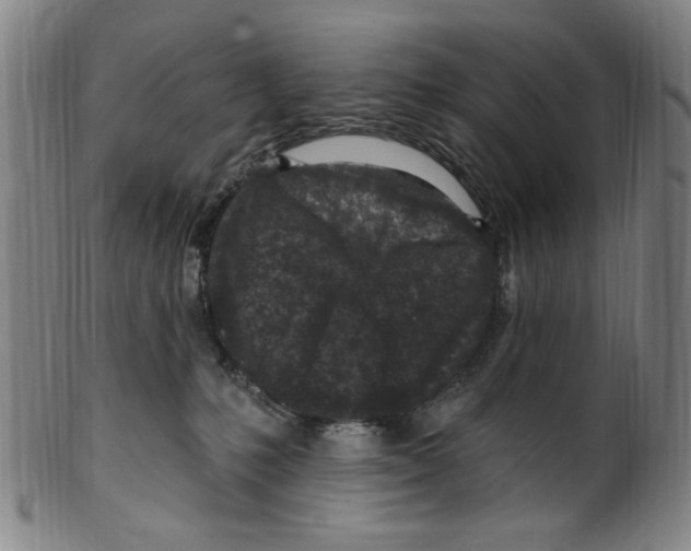 X0000099480231200806061253