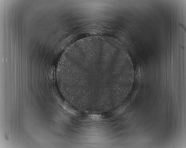 X0000099480233200806061253