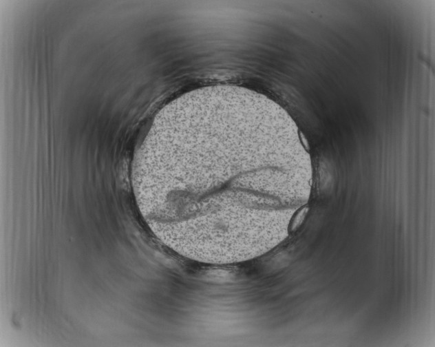 X0000099480236200806061253