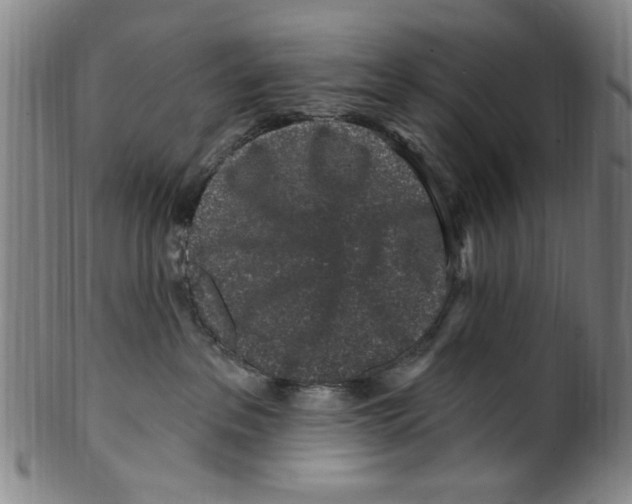 X0000099480237200806061253