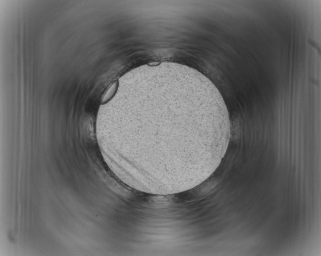 X0000099480238200806061253