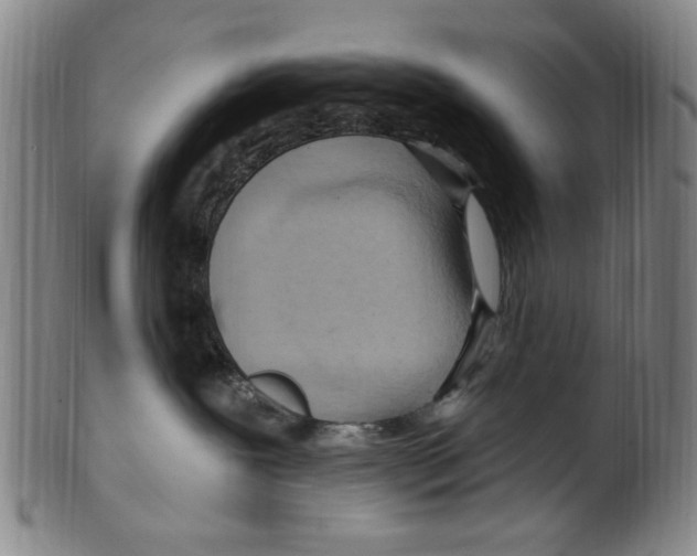 X0000099480239200806061253