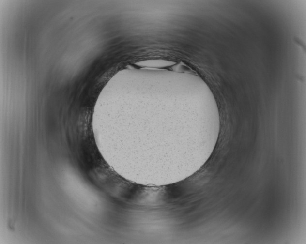 X0000099480240200806061253