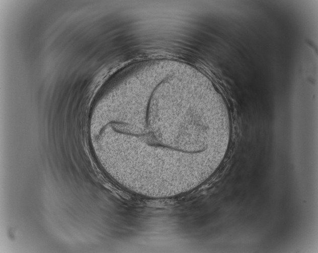 X0000099480241200806061252