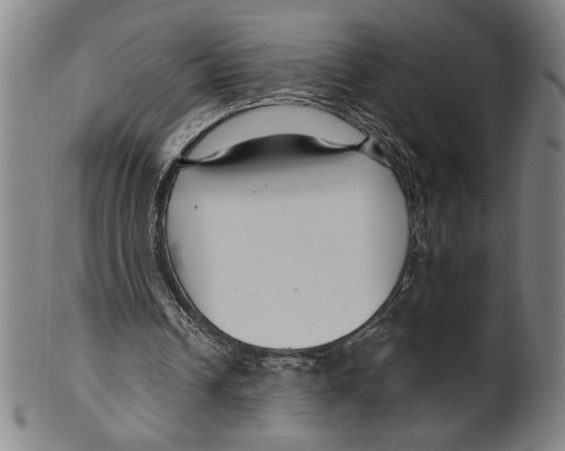 X0000099480242200806061252