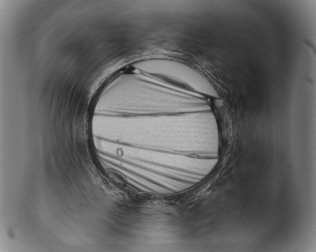 X0000099480244200806061252